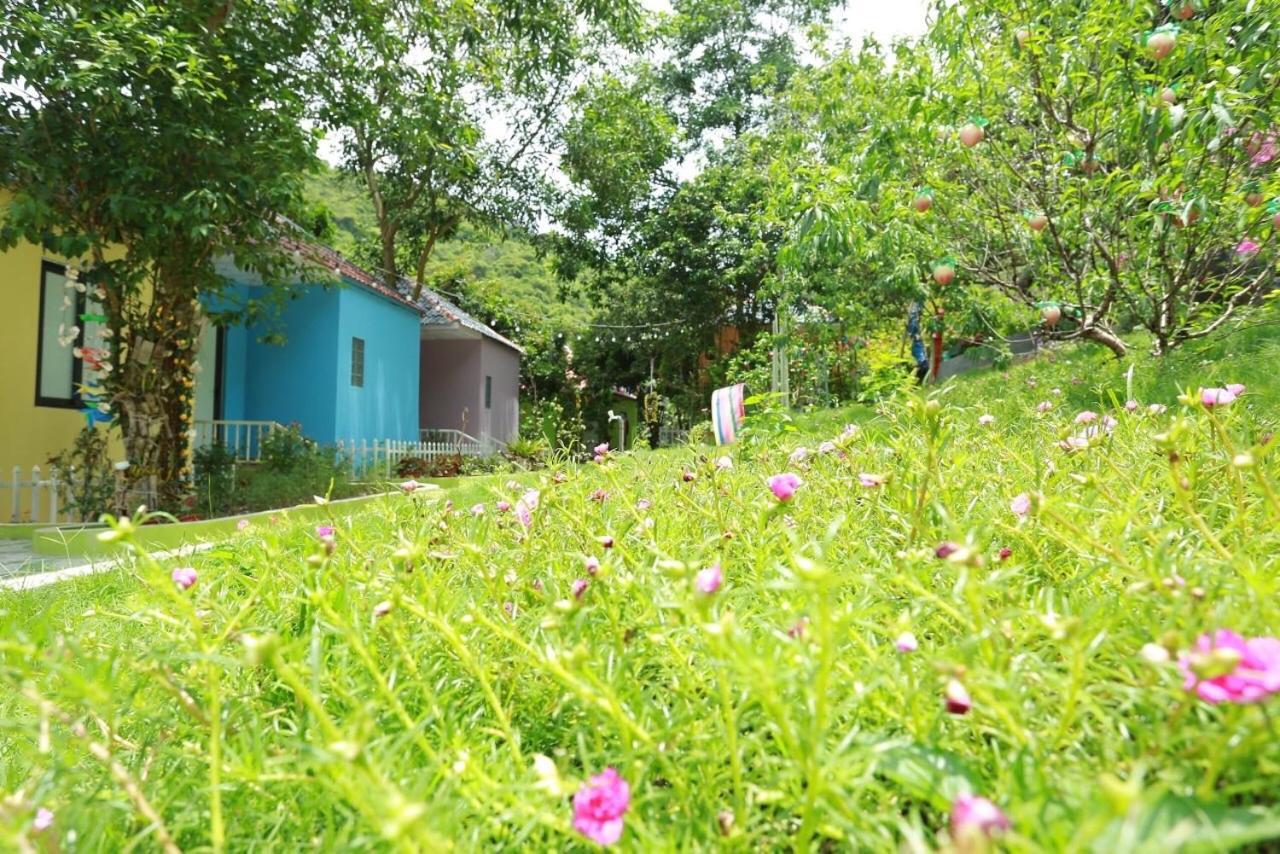 Windy Hill Catba Homestay ไฮฟอง ภายนอก รูปภาพ